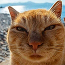 Avatar de l’utilisateur